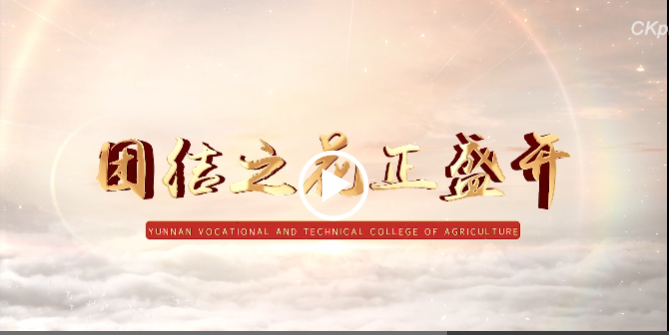 江南国际集团有限公司铸牢中华民族共同体意识专题宣传片